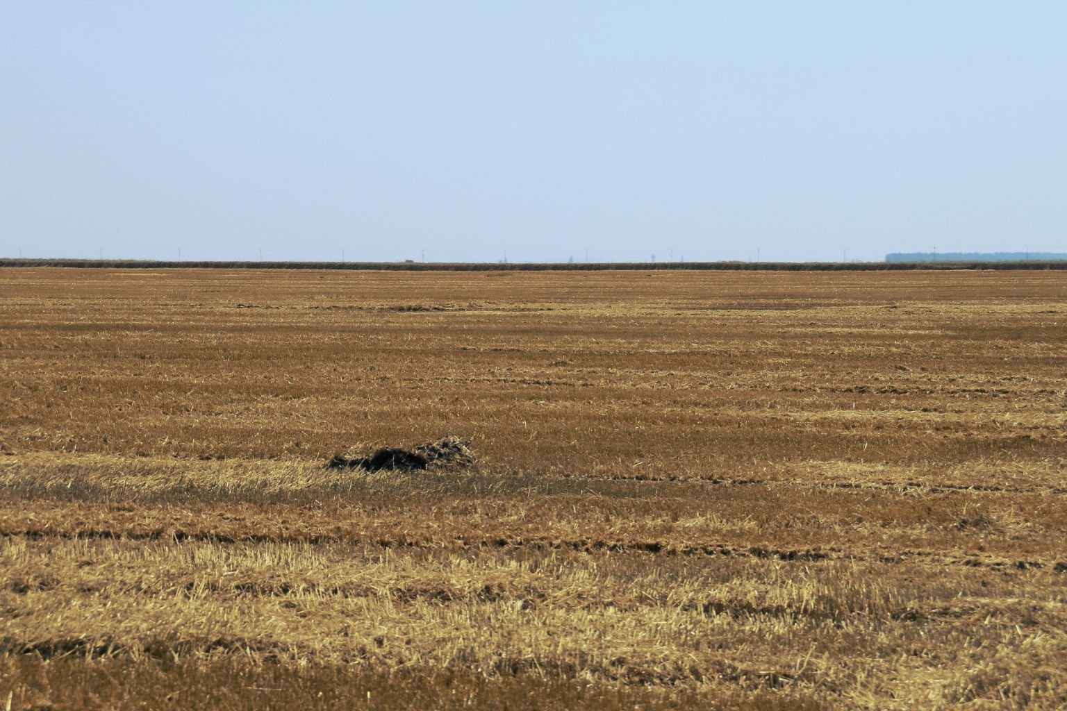 plevna ks